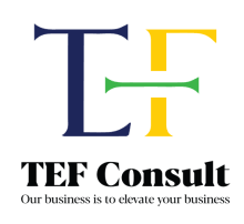 Tanzania Empowerment Forum Limited (TEF Consult)