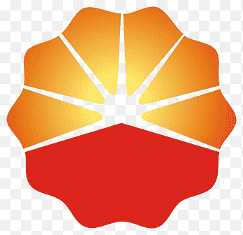 Daqing Oilfield Company Limited